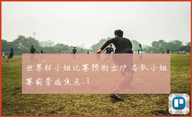 世界杯小组比赛预测出炉 各队小组赛前景成焦点_1